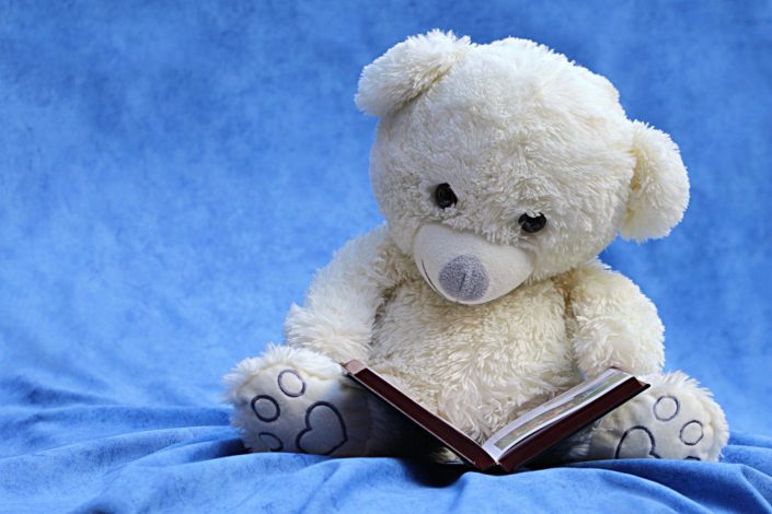 still-life-teddy-white-read